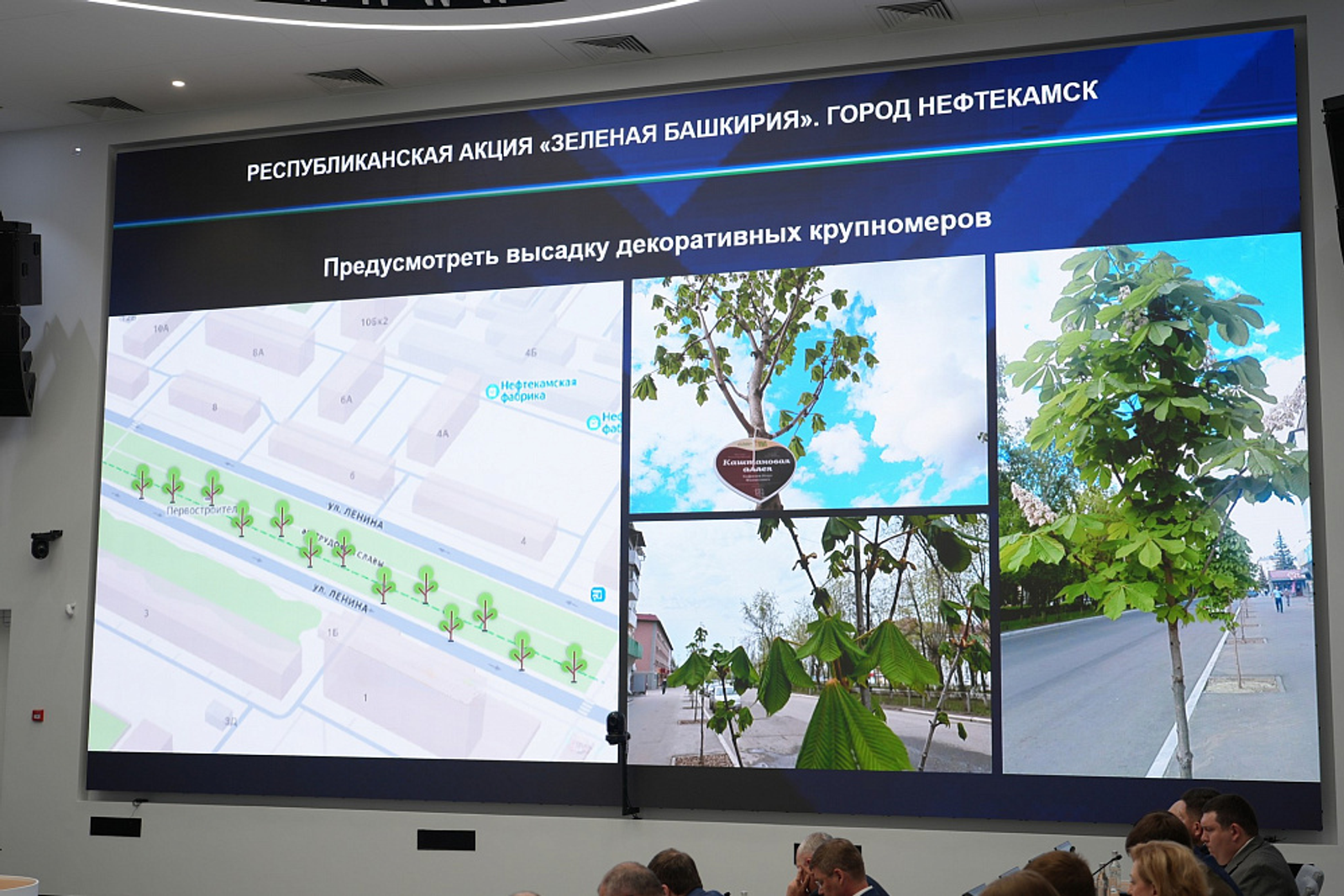 Во время акции высадят 4,5 тысячи деревьев  и 62 тысячи кустарников