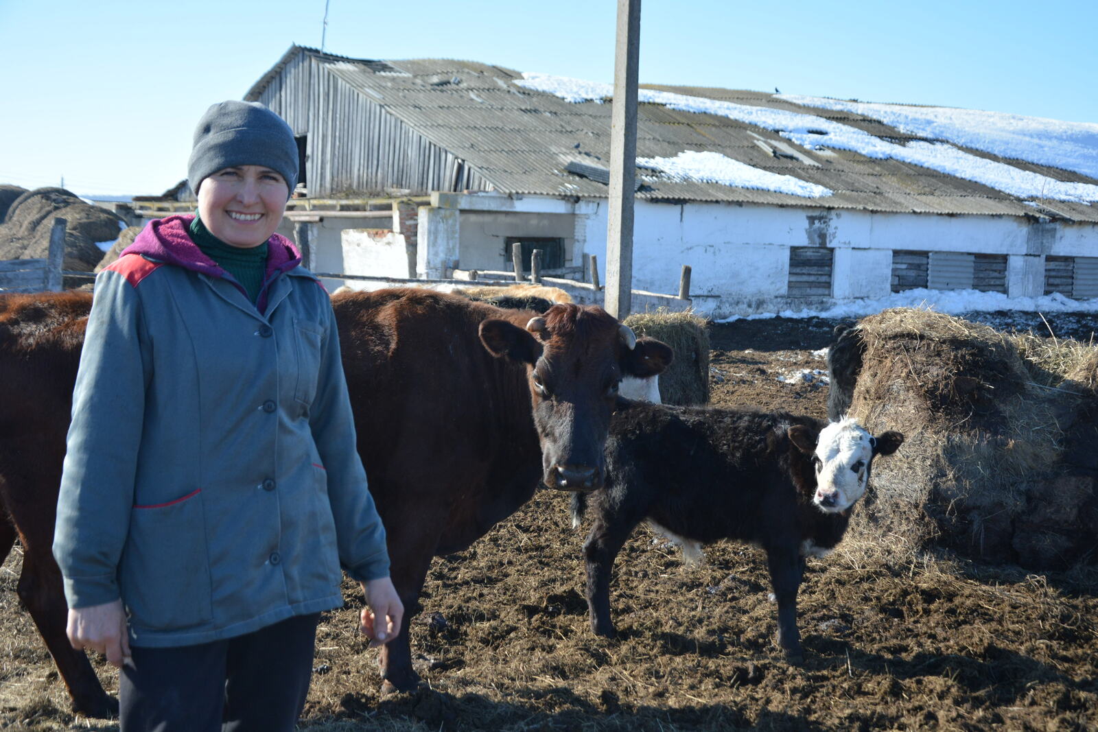 Хуҗалыкта кайнар чор