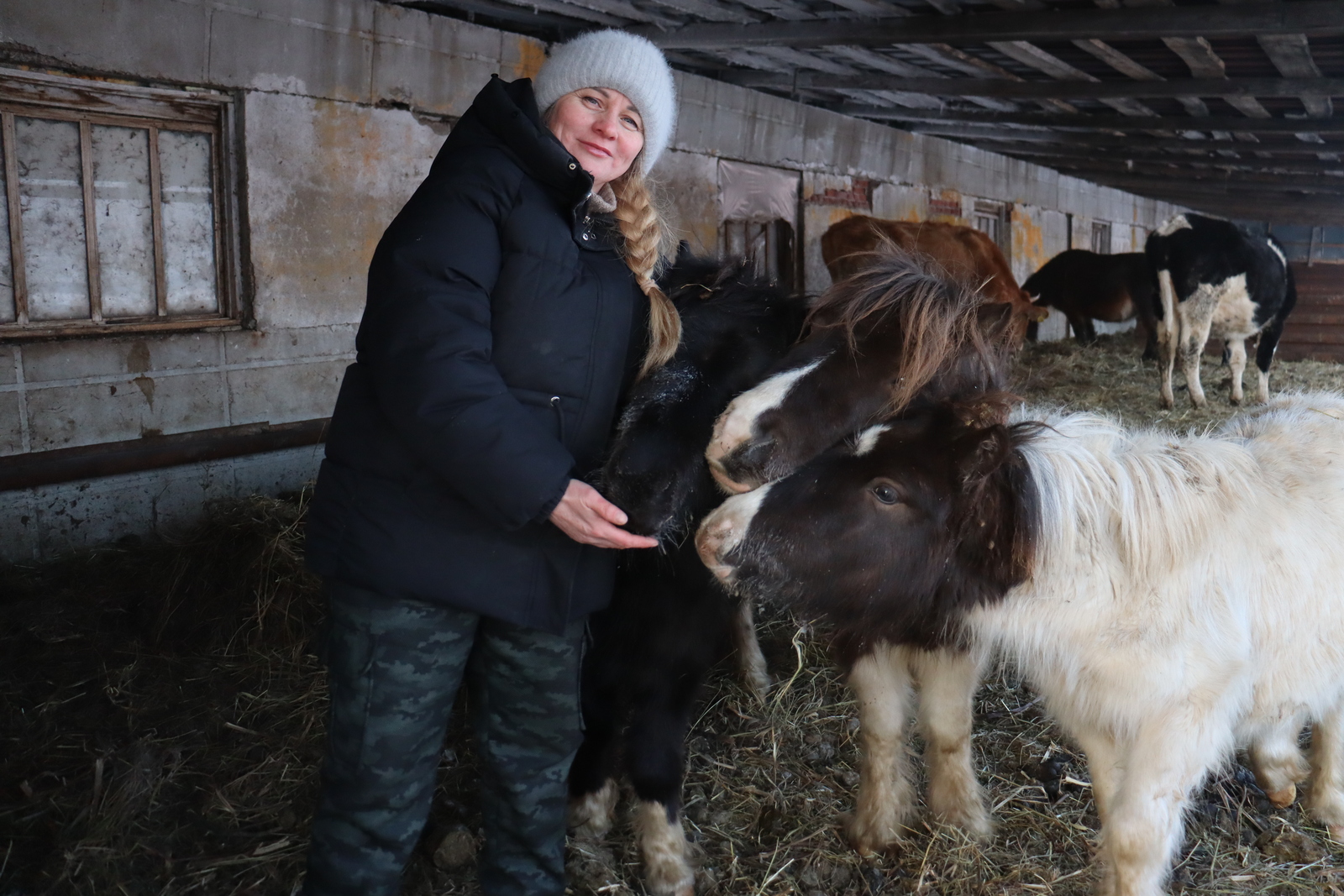 Пони асраучы фермерлар исемлеге ишәя