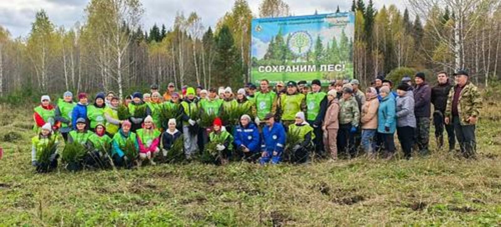 Жители РБ стали самыми активными участниками акции «Сохраним лес» в России