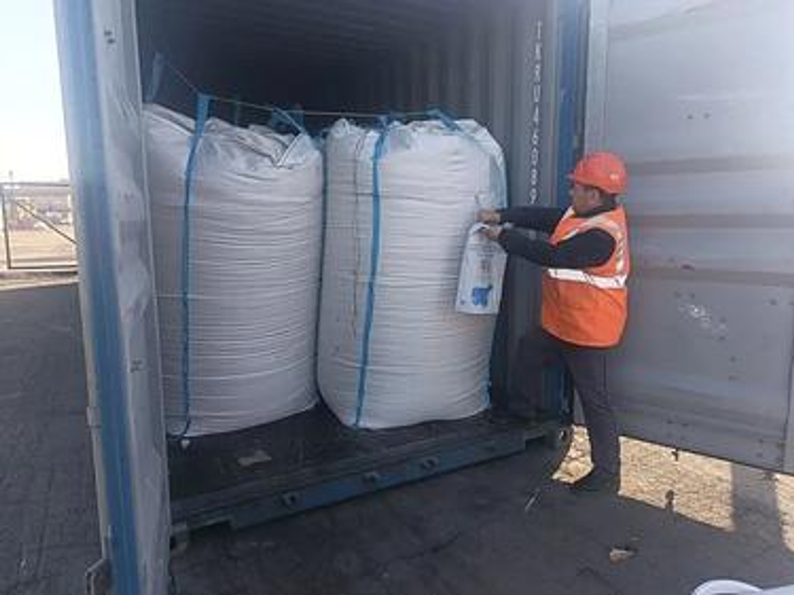 РБ впервые экспортировал в Китай более 1 тыс. тонн продовольственного овса