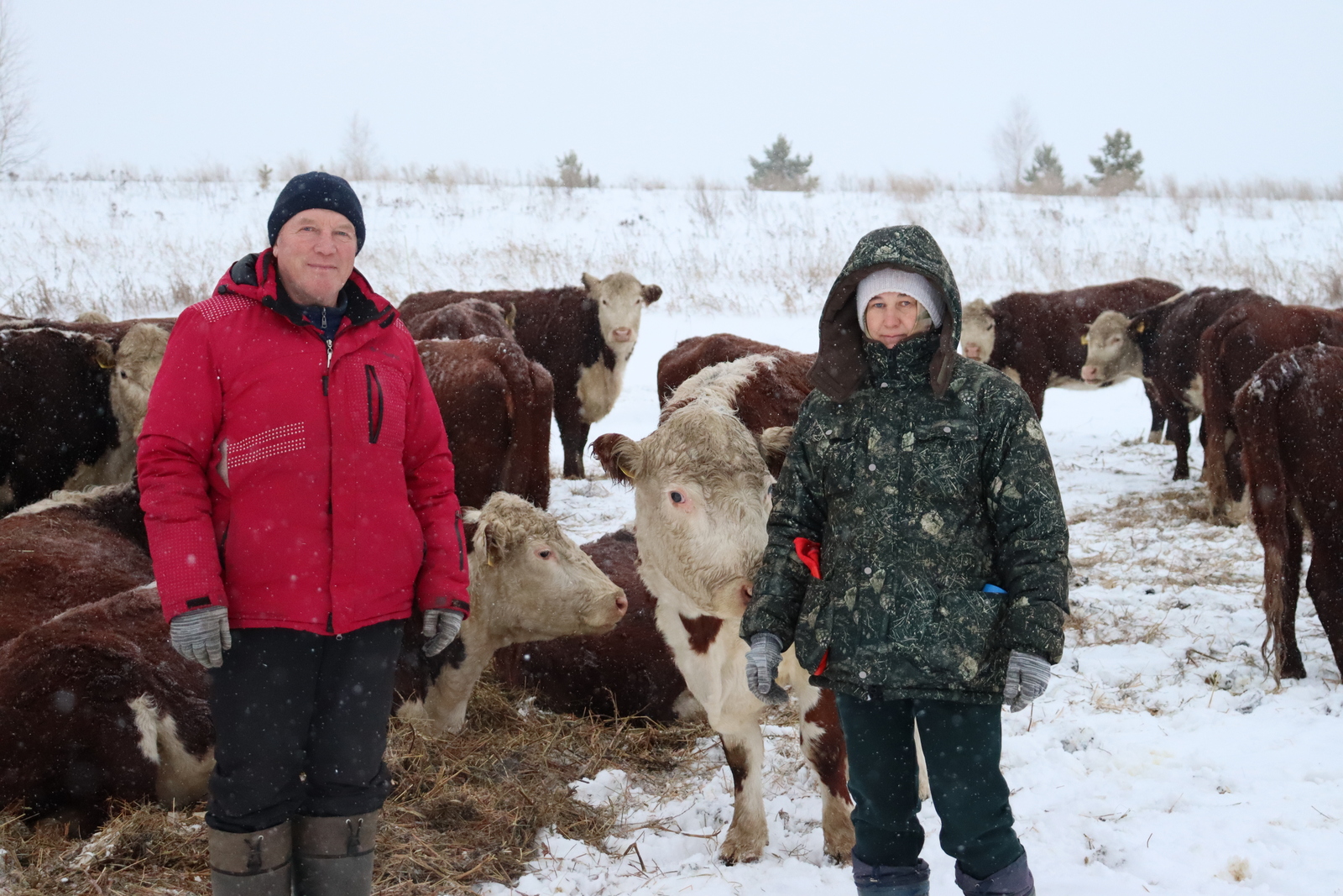 Яхшы шартлар – югары күрсәткечләр нигезе