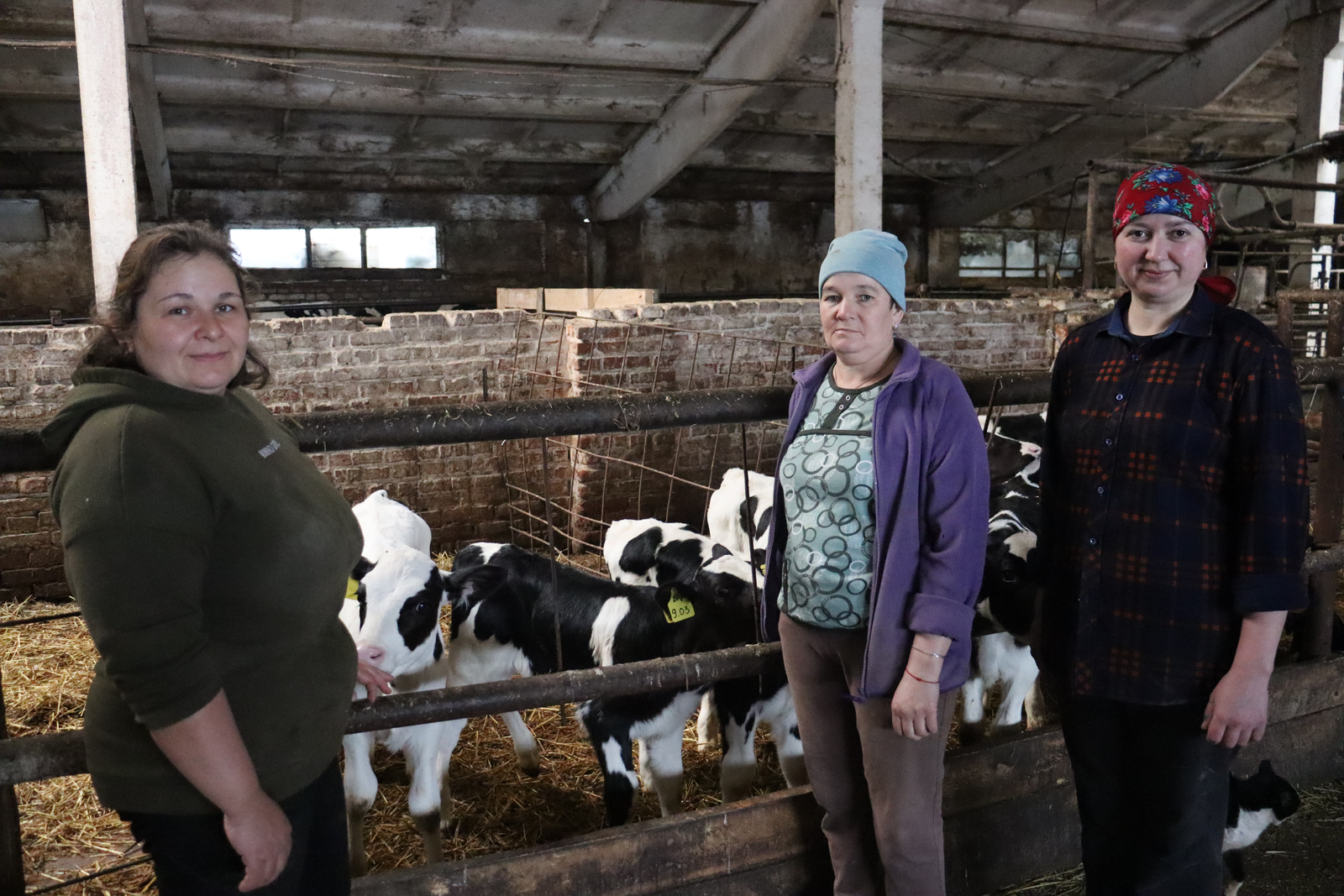 Бозау карарга да осталык кирәк