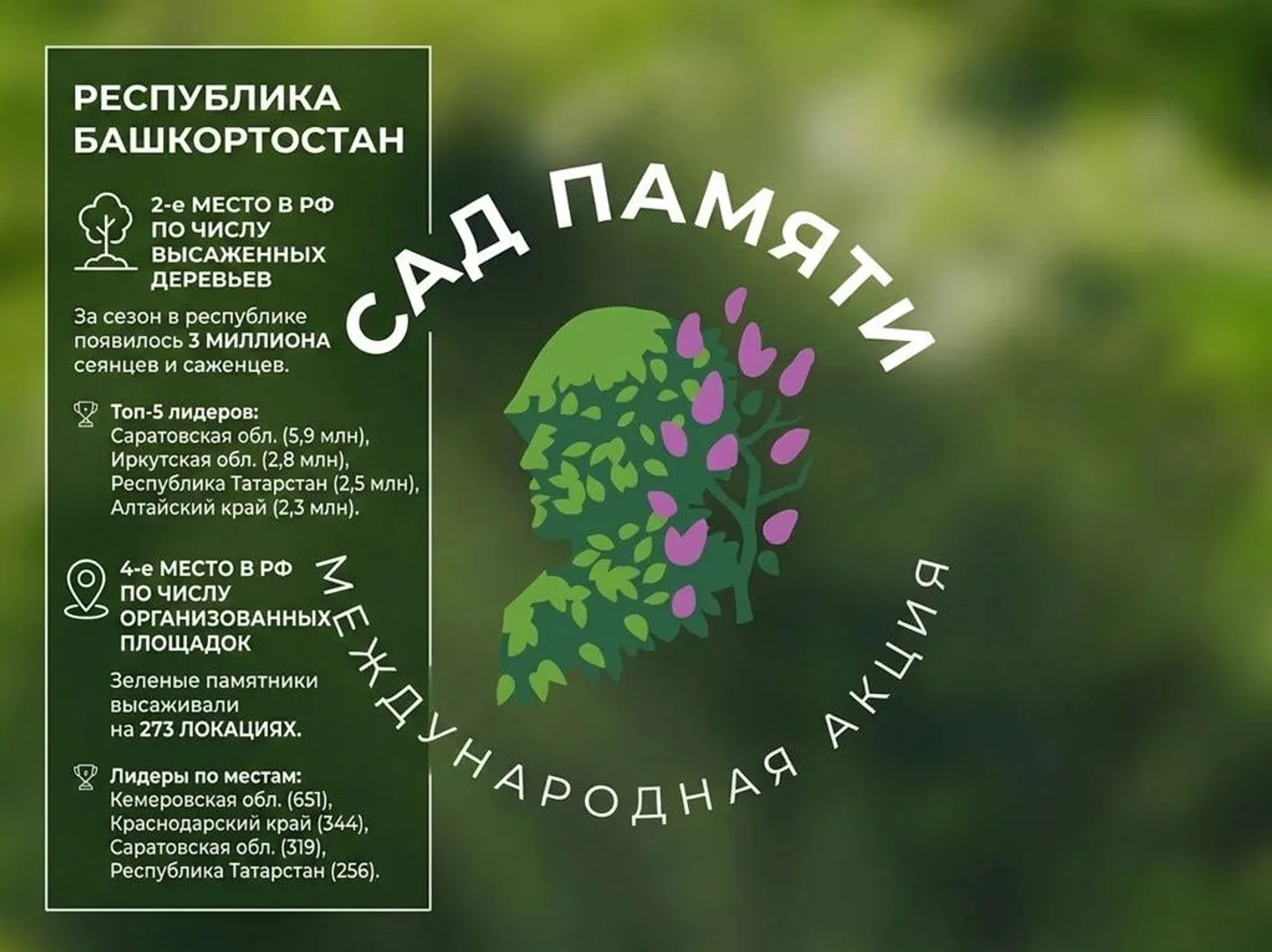 Башкортостан вновь в числе ведущих регионов России