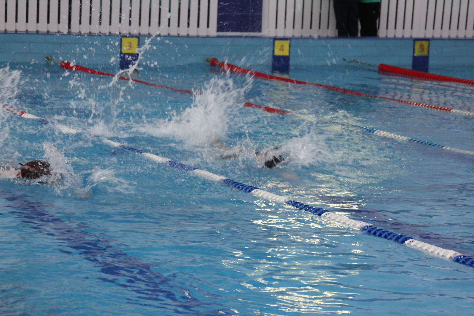 В  бассейне "Океан" с.Бураево прошло открытое первенство по плаванию