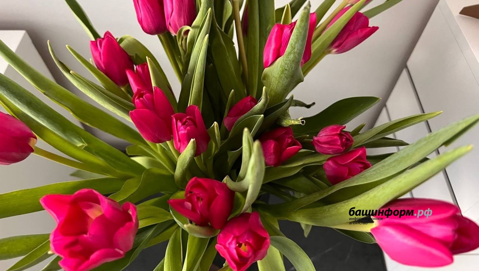 В Башкирии женщина потеряла на покупке 1500 тюльпанов более 85 тысяч рублей