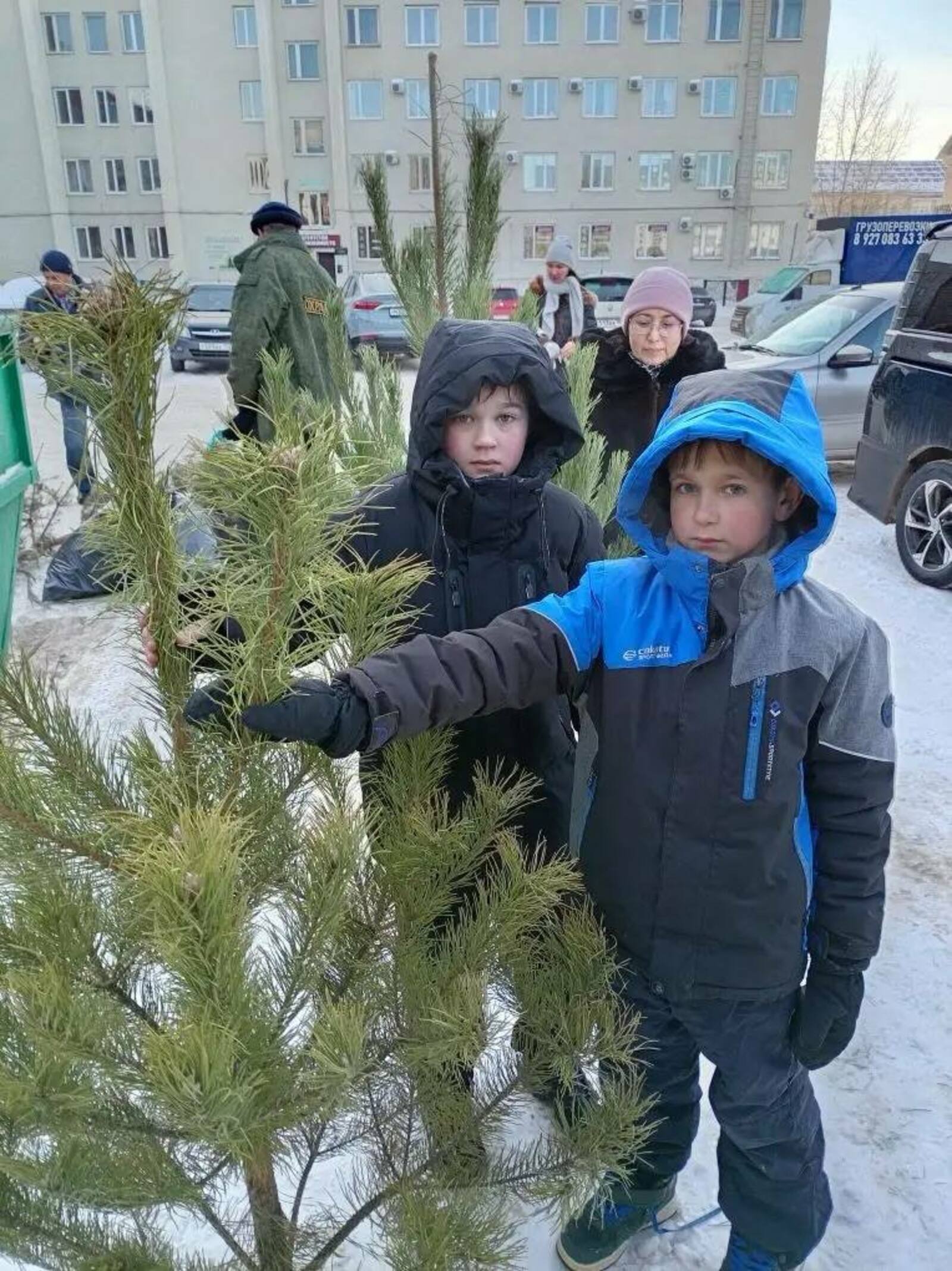 В Башкортостане регоператор провел акцию «Ёлки на переработку»