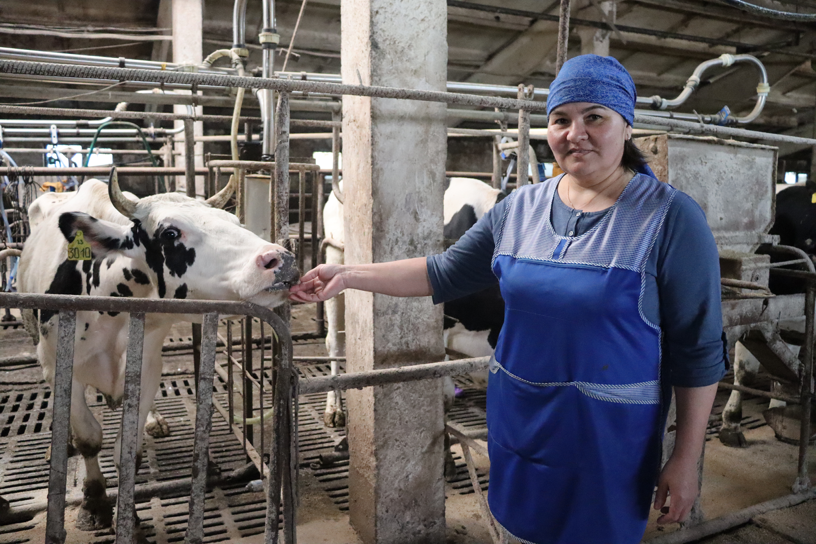 Савымны арттыру  юнәлешендә эшлиләр