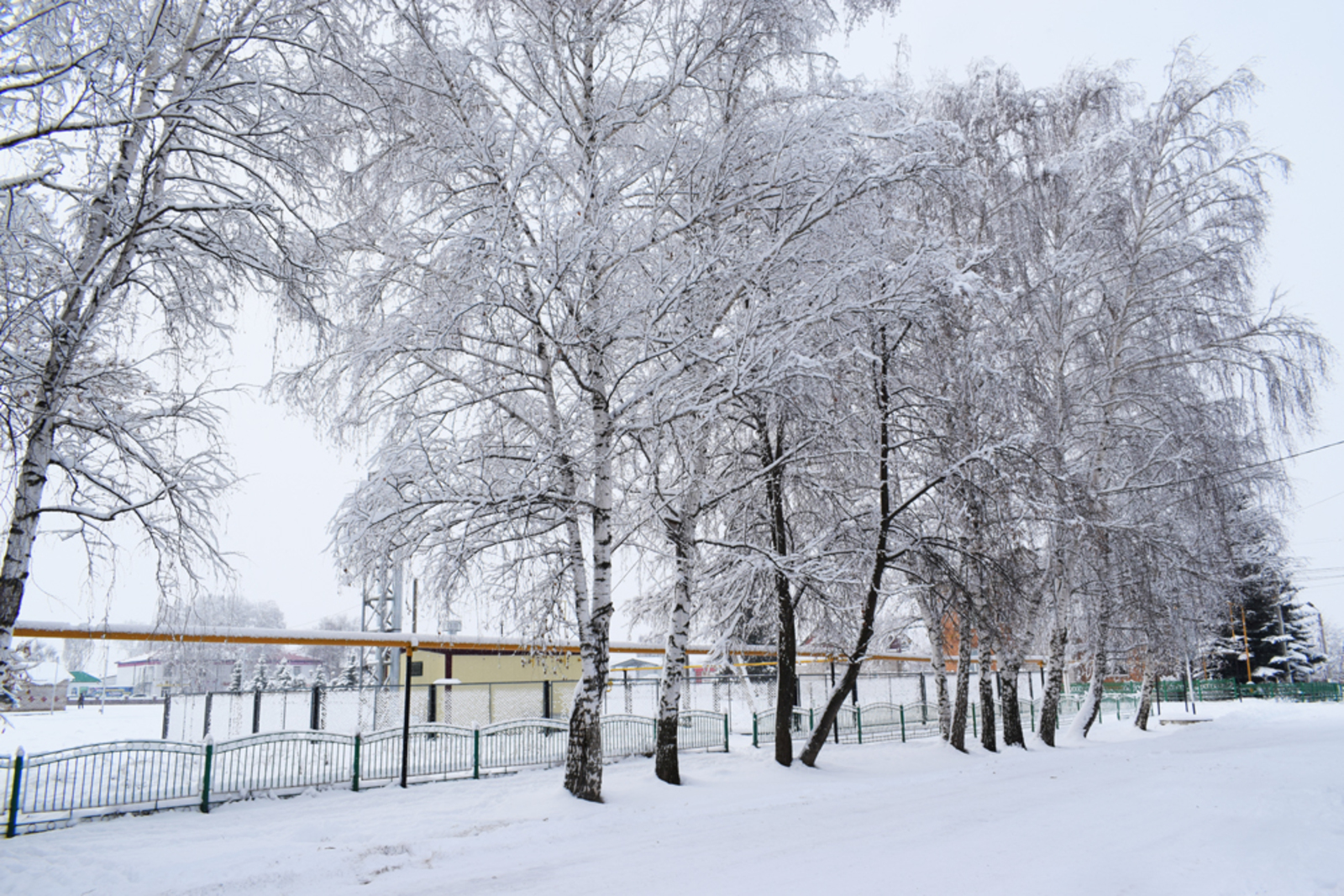 Синоптики сообщили, какой будет погода в Башкирии в феврале